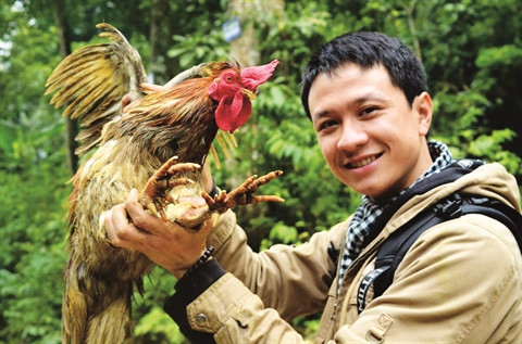 Le coq à neuf ergots, un cadeau de luxe ảnh 1 Le coq à neuf ergots, un cadeau de luxe ảnh 1