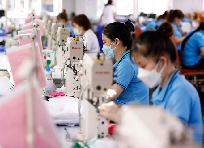 Plus de 13.000 entreprises nouvellement ont vu le jour en octobre ảnh 1