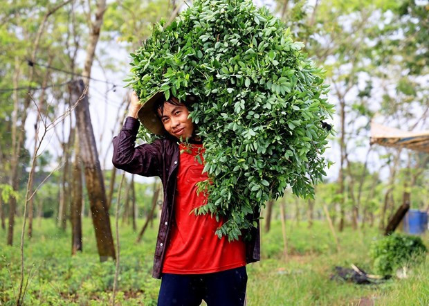 Dong Nai donne un exemple dans l’édification de la Nouvelle Ruralité ảnh 2 Dong Nai donne un exemple dans l’édification de la Nouvelle Ruralité ảnh 2
