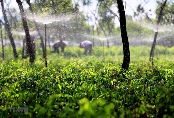 Dong Nai donne un exemple dans l’édification de la Nouvelle Ruralité ảnh 1 Dong Nai donne un exemple dans l’édification de la Nouvelle Ruralité ảnh 1
