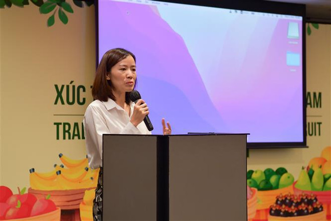 Promouvoir les exportations de fruits vers la Thaïlande ảnh 2 Promouvoir les exportations de fruits vers la Thaïlande ảnh 2