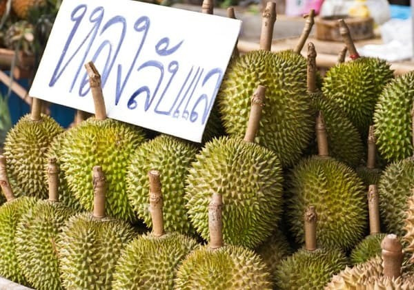 La Thaïlande cible plus de 5 milliards de dollars des exportations de fruits en 2023 ảnh 1 La Thaïlande cible plus de 5 milliards de dollars des exportations de fruits en 2023 ảnh 1