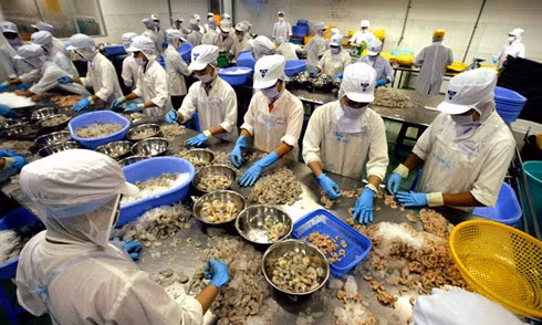 Vietnam-Afrique du Sud : le commerce bilatéral devrait atteindre 1,3 milliard de dollars en 2022 ảnh 1
