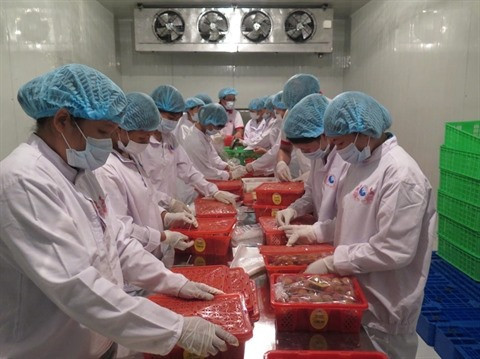 Les exportations nationales sont au beau fixe ảnh 1 Les exportations nationales sont au beau fixe ảnh 1