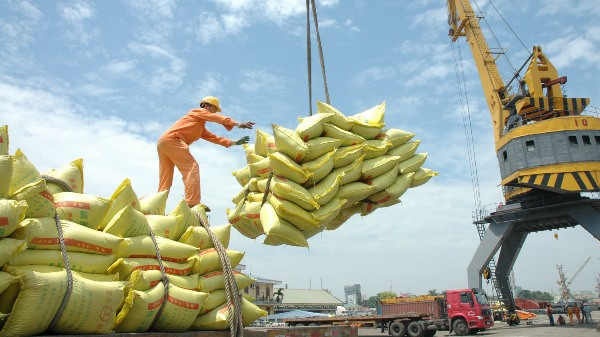 Vietnam - Cuba : consolider les relations d’amitié et la solidarité spéciale ảnh 2 Vietnam - Cuba : consolider les relations d’amitié et la solidarité spéciale ảnh 2