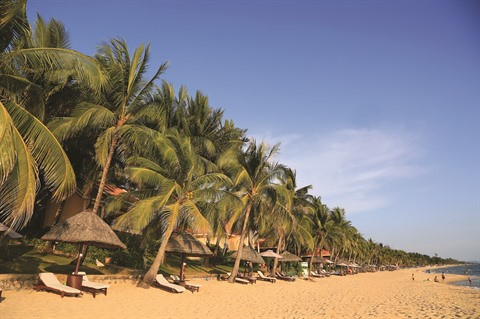 Passez les fêtes de fin d’année au Saigon - Phu Quôc ! ảnh 1 Passez les fêtes de fin d’année au Saigon - Phu Quôc ! ảnh 1