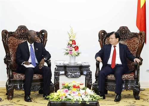 Le vice-PM Trinh Dinh Dung reçoit le directeur national de la BM au Vietnam ảnh 1 Le vice-PM Trinh Dinh Dung reçoit le directeur national de la BM au Vietnam ảnh 1