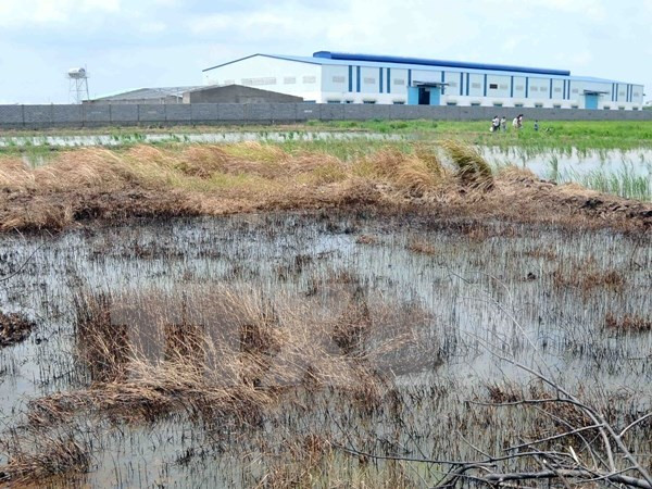 L’Allemagne partage ses expériences en matière de dépollution des sols contaminés aux métaux lourds ảnh 1