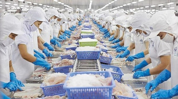 Le Vietnam est le 3e fournisseur de produits aquatiques des États-Unis ảnh 1 Le Vietnam est le 3e fournisseur de produits aquatiques des États-Unis ảnh 1