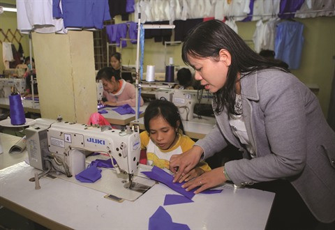 Le Vietnam œuvre pour les droits des handicapés ảnh 1 Le Vietnam œuvre pour les droits des handicapés ảnh 1