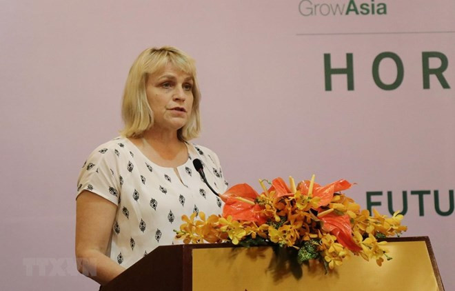 Le Vietnam et les Pays-Bas partagent leurs expériences culturales ảnh 1 Le Vietnam et les Pays-Bas partagent leurs expériences culturales ảnh 1