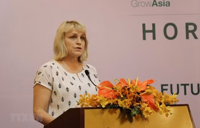 Le Vietnam et les Pays-Bas partagent leurs expériences culturales ảnh 1