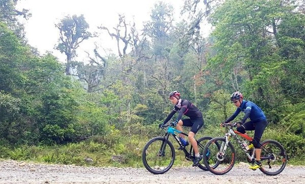 Lao Cai: course cycliste "Au milieu la saison des rhododendrons" ảnh 1 Lao Cai: course cycliste "Au milieu la saison des rhododendrons" ảnh 1