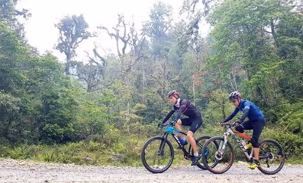 Lao Cai: course cycliste "Au milieu la saison des rhododendrons" ảnh 1