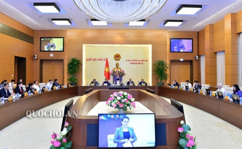 Débat sur les amendements des lois sur le commerce des assurances et la propriété intellectuelle ảnh 1