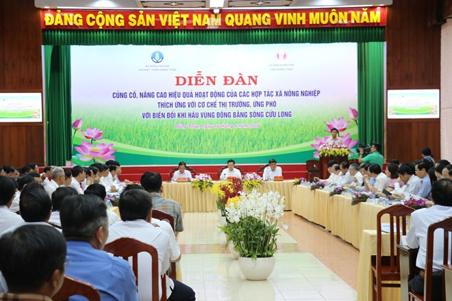 Les coopératives agricoles devront s’adapter au marché et au climat ảnh 1 Les coopératives agricoles devront s’adapter au marché et au climat ảnh 1