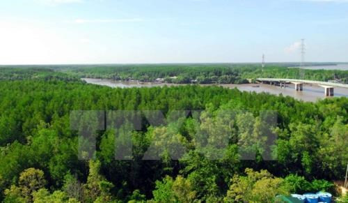 Système d'information pour une meilleure gestion des forêts ảnh 1 Système d'information pour une meilleure gestion des forêts ảnh 1