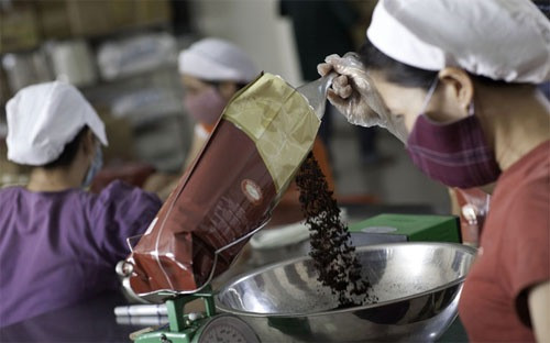 Le café instantané vietnamien s’affirme de plus en plus sur le marché mondial ảnh 1 Le café instantané vietnamien s’affirme de plus en plus sur le marché mondial ảnh 1