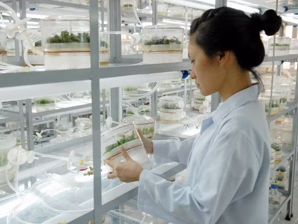 Approbation du plan de réseau d'organisations scientifiques et technologiques ảnh 1