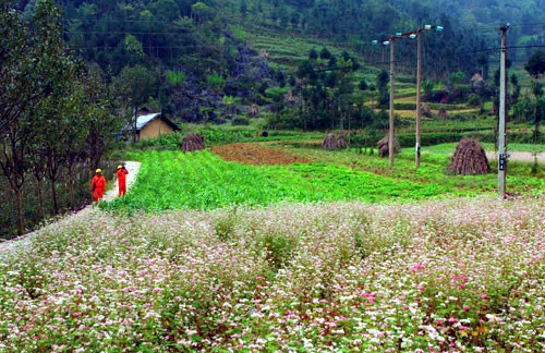 EVN déploie des projets d’électrification des zones rurales et insulaires ảnh 1