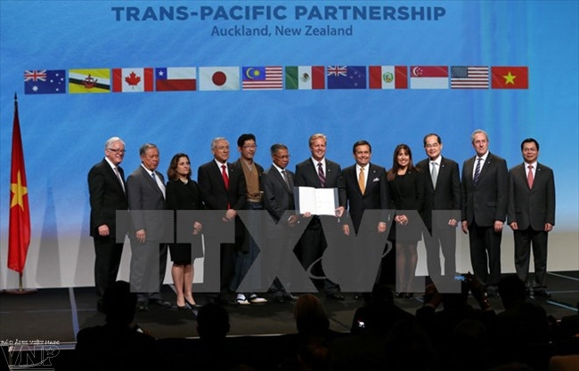 Création du Comité mixte de coopération économique Vietnam-Mexique ảnh 1 Création du Comité mixte de coopération économique Vietnam-Mexique ảnh 1