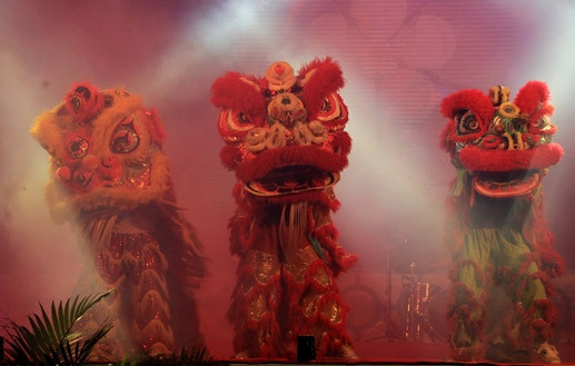 Delta du Mékong: ouverture du 1er tournoi de danse de la licorne ảnh 1 Delta du Mékong: ouverture du 1er tournoi de danse de la licorne ảnh 1