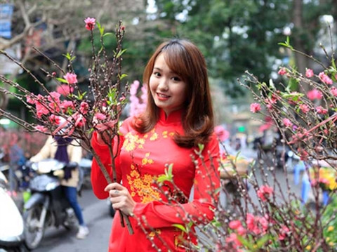 Vacances du Têt : temps sec et doux au Nord, ensoleillé au Sud ảnh 1 Vacances du Têt : temps sec et doux au Nord, ensoleillé au Sud ảnh 1