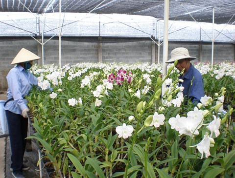 Le point sur la biotechnologie à Hô Chi Minh-Ville ảnh 1 Le point sur la biotechnologie à Hô Chi Minh-Ville ảnh 1