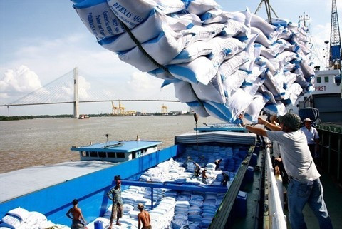 Le riz vietnamien s'insère au marché européen ảnh 2 Le riz vietnamien s'insère au marché européen ảnh 2