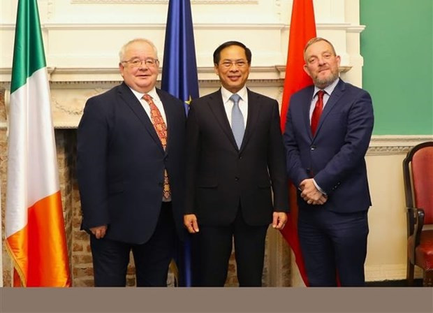 Le Vietnam et l'Irlande renforcent la coopération dans de nombreux domaines ảnh 2