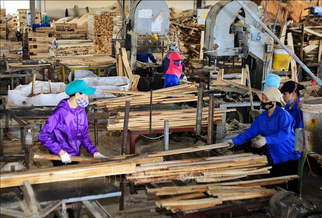 Les zones de matières premières stables nécessaires pour développer la filière bois durable ảnh 2 Les zones de matières premières stables nécessaires pour développer la filière bois durable ảnh 2