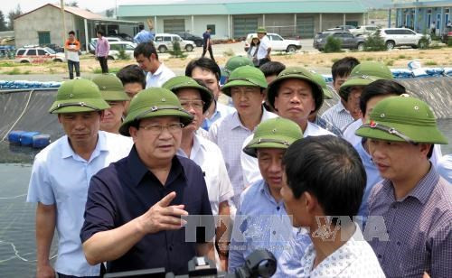Un vice-PM demande de faire la lumière sur l’hécatombe de poissons ảnh 1 Un vice-PM demande de faire la lumière sur l’hécatombe de poissons ảnh 1