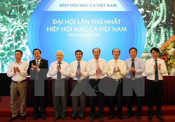 Création de l’Association du macadamia du Vietnam ảnh 1 Création de l’Association du macadamia du Vietnam ảnh 1