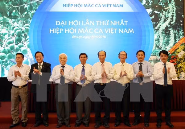 Création de l’Association du macadamia du Vietnam ảnh 1