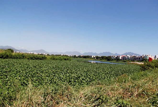 Achèvement de la décontamination de l'aéroport de Da Nang (deuxième phase) ảnh 1 Achèvement de la décontamination de l'aéroport de Da Nang (deuxième phase) ảnh 1