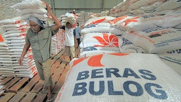L'Indonésie doit importer 500.000 tonnes de riz au premier trimestre ảnh 1 L'Indonésie doit importer 500.000 tonnes de riz au premier trimestre ảnh 1