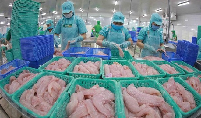 Le Vietnam vise 1,7 milliard de dollars d’exportations de pangasius en 2022 ảnh 1