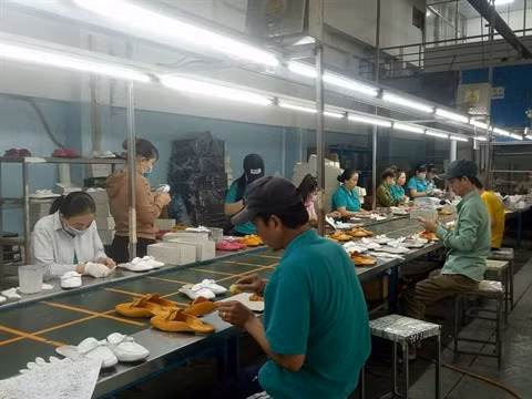 Opportunités pour l'industrie de la chaussure en 2022 ảnh 1