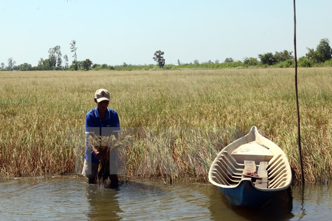 Un projet de résilience au changement climatique qui bénéficie à huit localités ảnh 1 Un projet de résilience au changement climatique qui bénéficie à huit localités ảnh 1