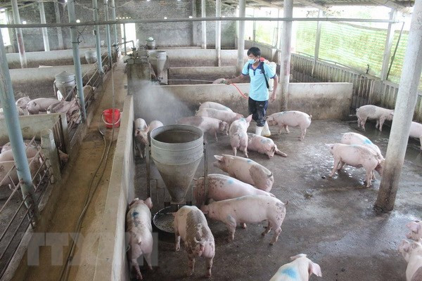 Publication du système d'information sur les maladies animales en ligne ảnh 1 Publication du système d'information sur les maladies animales en ligne ảnh 1