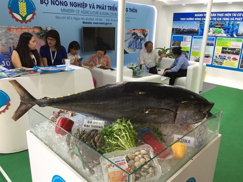 Les exportations du thon du Vietnam vers l’Asie et le Proche-Orient en forte hausse ảnh 1 Les exportations du thon du Vietnam vers l’Asie et le Proche-Orient en forte hausse ảnh 1