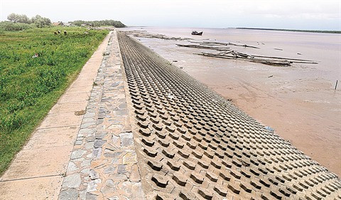 Hô Chi Minh-Ville cherche à lutter contre les inondations ảnh 1 Hô Chi Minh-Ville cherche à lutter contre les inondations ảnh 1