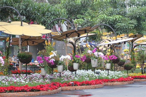 Têt : fêtes des fleurs à Hô Chi Minh-Ville ảnh 1
