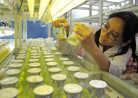 Les pas difficiles de la biotechnologie au Vietnam ảnh 1 Les pas difficiles de la biotechnologie au Vietnam ảnh 1