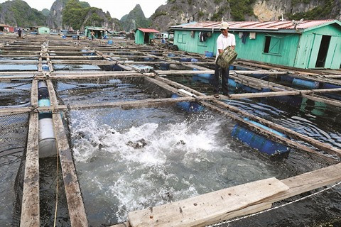 L’économie bleue met le cap sur le développement durable ảnh 2 L’économie bleue met le cap sur le développement durable ảnh 2