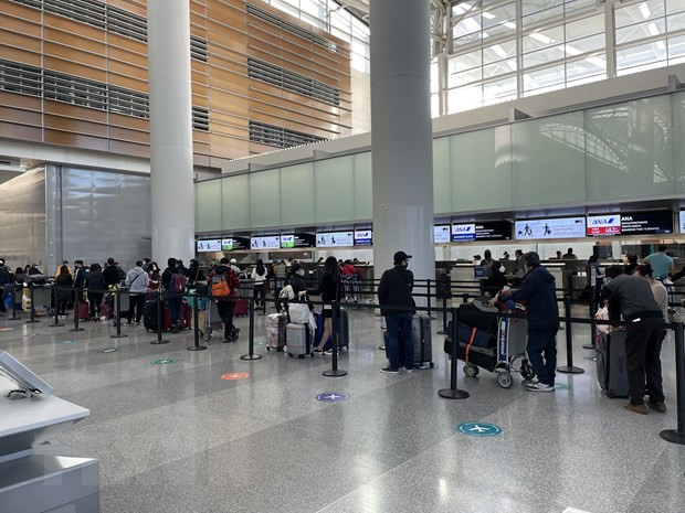 COVID-19 : rapatriement de plus de 340 Vietnamiens du Japon ảnh 1 COVID-19 : rapatriement de plus de 340 Vietnamiens du Japon ảnh 1