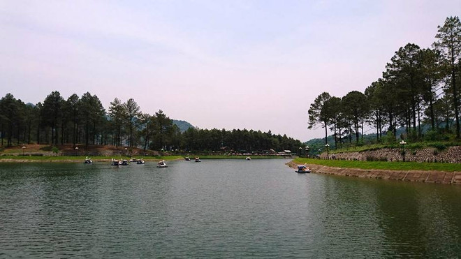 Son La : un projet est mis en place pour préserver la biodiversité en forêt ảnh 1 Son La : un projet est mis en place pour préserver la biodiversité en forêt ảnh 1