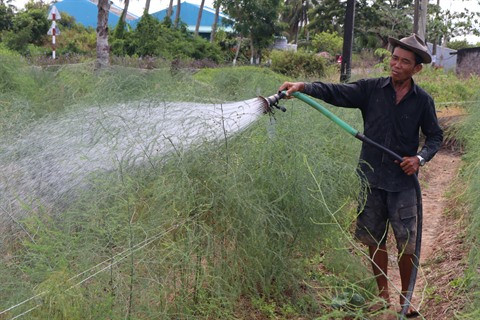 Les Hoa œuvrent pour le développement de Bac Liêu ảnh 1 Les Hoa œuvrent pour le développement de Bac Liêu ảnh 1