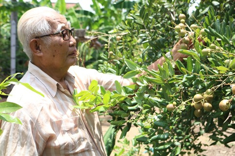 Les Hoa œuvrent pour le développement de Bac Liêu ảnh 2 Les Hoa œuvrent pour le développement de Bac Liêu ảnh 2