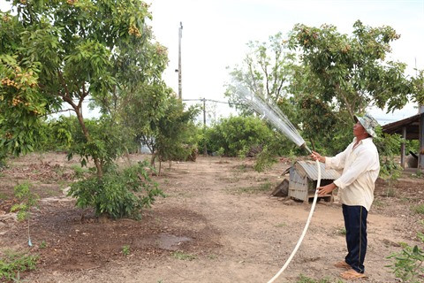 Les Hoa œuvrent pour le développement de Bac Liêu ảnh 3 Les Hoa œuvrent pour le développement de Bac Liêu ảnh 3